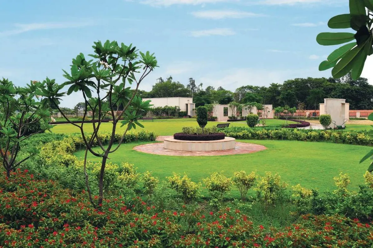 Green park at Alpha International City, Daburji, Amritsar