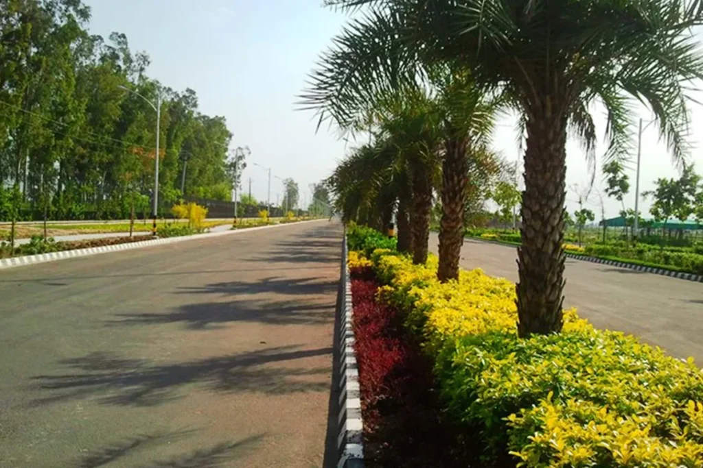 Tree-lined internal road at Alpha International City, Daburji, Amritsar